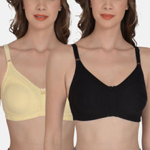 Mod & Shy Pack of 3 Printed Non-Padded Cut and Sew Bra - Multi-Color