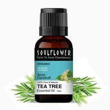 Soulflower Anti Dandruff Tea Tree Essential Oil for Healthy Scalp, Flake Control