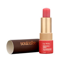 SoulTree Hibiscus & Honey with Organic Ghee & Cold Pressed Oils Lip Balm