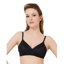 Amante Lace Essentials Padded Non-Wired T-Shirt Bra - Black