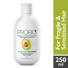 Godrej Professional Probio Avocado Nourish Shampoo
