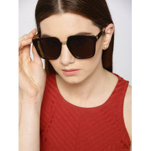 Twenty Dresses By Nykaa Fashion Make Me Famous Sunglasses - Brown