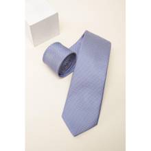 Van Heusen Men Light Blue Embroidered Formal Tie