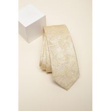 Van Heusen Men Beige Embroidered Formal Tie