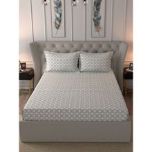 Inhouse by Maspar Glam Tribeca Blue Print 210TC Cotton Double Bed Sheet With 2 Pillow Covers