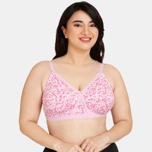 Zivame Everyday Double Layered Non Wired Full Coverage Super Support Bra - Lucent White
