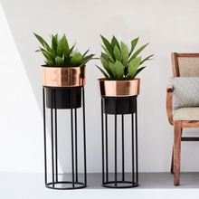 The Decor Remedy Roselyn Planters Set Of 2