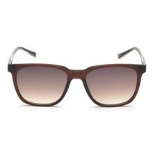 IDEE Brown Gradient Fm Lens Square Sunglass Full Rim Shiny Crystal Brown Frame (53)