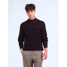 Flying Machine Textured Crew Neck Purple Sweater
