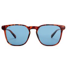 Vincent Chase By Lenskart Brown Blue Large Wayfarer Sunglasses - VC S13980