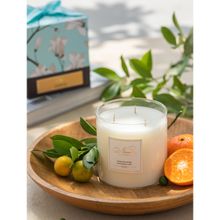 Niana Mandarin Lime Deluxe Candle