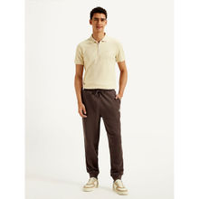 Levi's Brown Solid Joggers