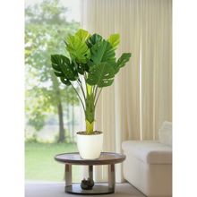 The Better Home Green Artificial Plants with Pot 72 cm Long