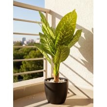 Aarvi Decor Green Dieffenbachia Artificial Plant Big Size For Home Decor Without Pot