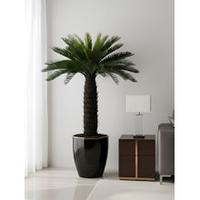 Aarvi Decor Green Cycas Palm Artificial Plant Big Size For Home Decor Without Pot