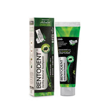 Bentodent Natural & Fluoride Free Activated Charcoal Mint Teeth Whitening Toothpaste