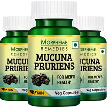 Morpheme Remedies Mucuna Pruriens (kapikachhu) - For Mood & Performance - 500mg Extract