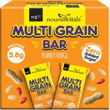 Nourish Vitals Multigrain Peanut Fudge Bar