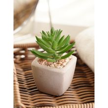 Pure Home + Living Green Artificial Succulents with Pot