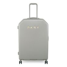 DKNY Allore Range Clay Color Hard Cabin Luggage