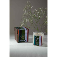Freedom Tree Woody Amber Natural Soy Scented Candle