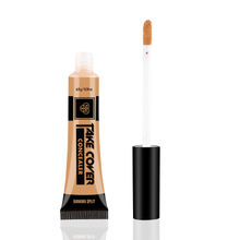PAC Take Cover Concealer