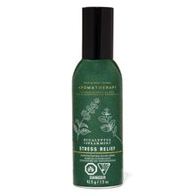 Bath & Body Works Eucalyptus Spearmint Concentrated Room Spray