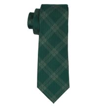 The Tie Hub Men Green Silk Checks Neck Tie