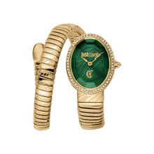 Just Cavalli Women Velina Green Dial Analog Watch - JC1L353M0085 (M)