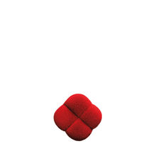 Shiseido Hanatsubaki Hake Polishing Face Brush