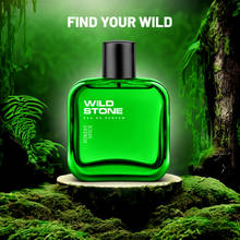 Wild Stone Forest Spice Perfume For Him