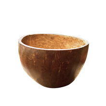 Amrutam Handmade Coconut Shell Bowl