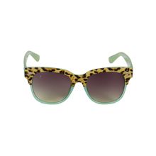Floyd 81526 Burgundy Green Women Sunglasses