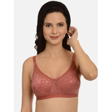 Mod & Shy Non-Padded Non Wired Mesh Net Minimizer Bra - Brown