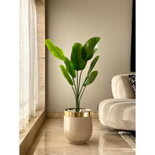 Mason Home Minsk Planter Medium - Beige