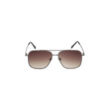 Fastrack Brown Navigator Sunglasses for Unisex