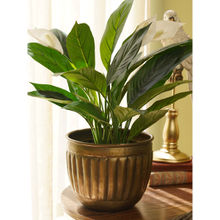 Pure Home + Living Bronze Metal Planter