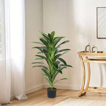 Home Bloom Artificial Dracaena Plant 4 Feet Faux Tree with Pot Home Décor Ficus