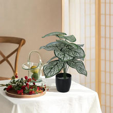 Home Bloom Artificial Caladium Plant with Basic Black Pot 12 Green Leaves