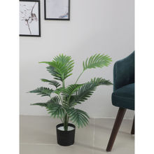 Home Bloom Artificial Areca Palm for Home Decor-Office Decor-Gifting Big