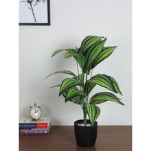 Home Bloom Artificial Cast-Iron Plant Big Ornamental Plant for Interior Decor-Home