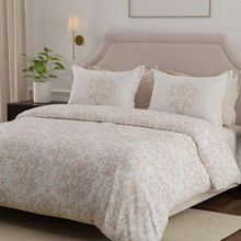 Boutique Living Hampton Luxe Loom 600 TC Cotton Peach King Bedsheet with 2 Pillow Covers