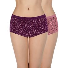 Amante Print Three-fourth Coverage Low Rise Boyshort Panties (Pack of 2)