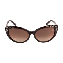 Swarovski Sunglasses Cat-Eye With Brown Lens For Women