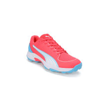Puma Spike 24.2 Unisex Red Cricket Shoes