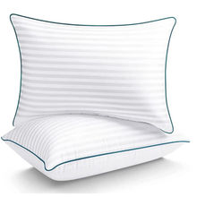 SEEVO Pillow Fillers Pack of 2 Pcs