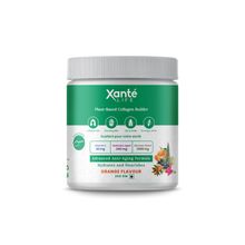 Xante Plant-based Sugarfree Collagen Builder - Orange