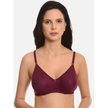 Mod & Shy Wine Non-Padded Non Wired Basic Bra