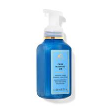 Bath & Body Works Crisp Morning Air Gentle & Clean Foaming Hand Soap