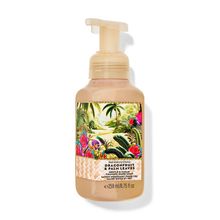 Bath & Body Works Dragonfruit & Palm Leaves Gentle & Clean Foaming Hand Soap